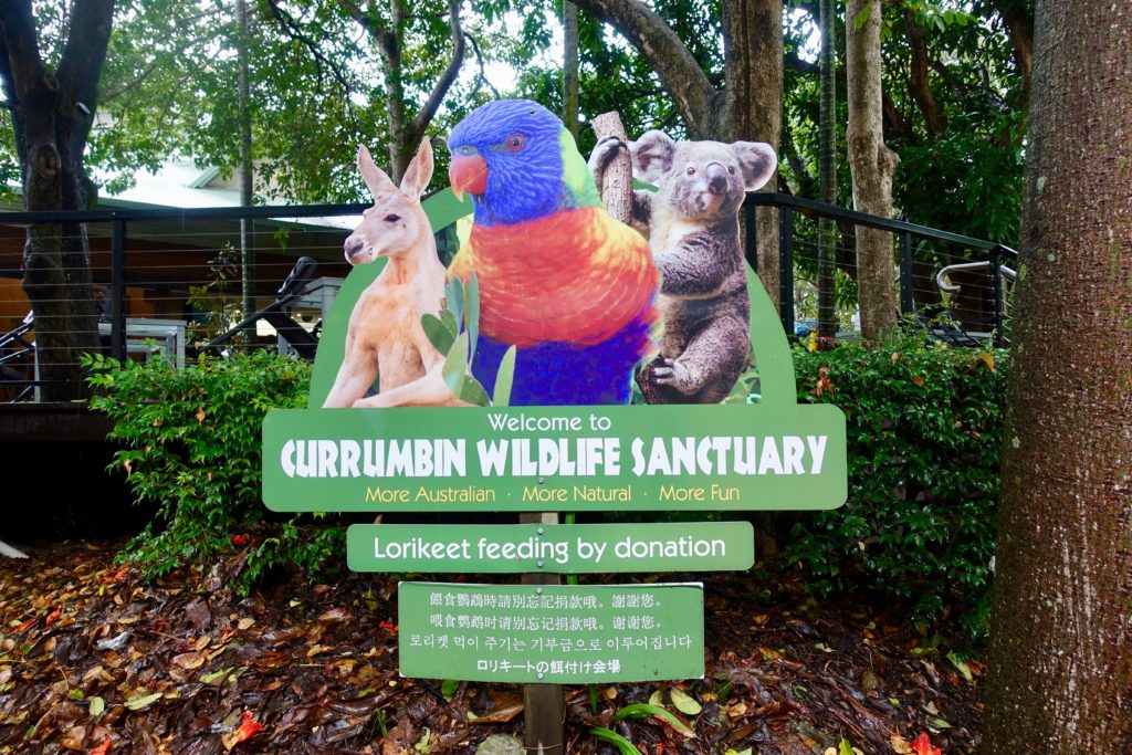 Currumbin Wildlife Sanctuary