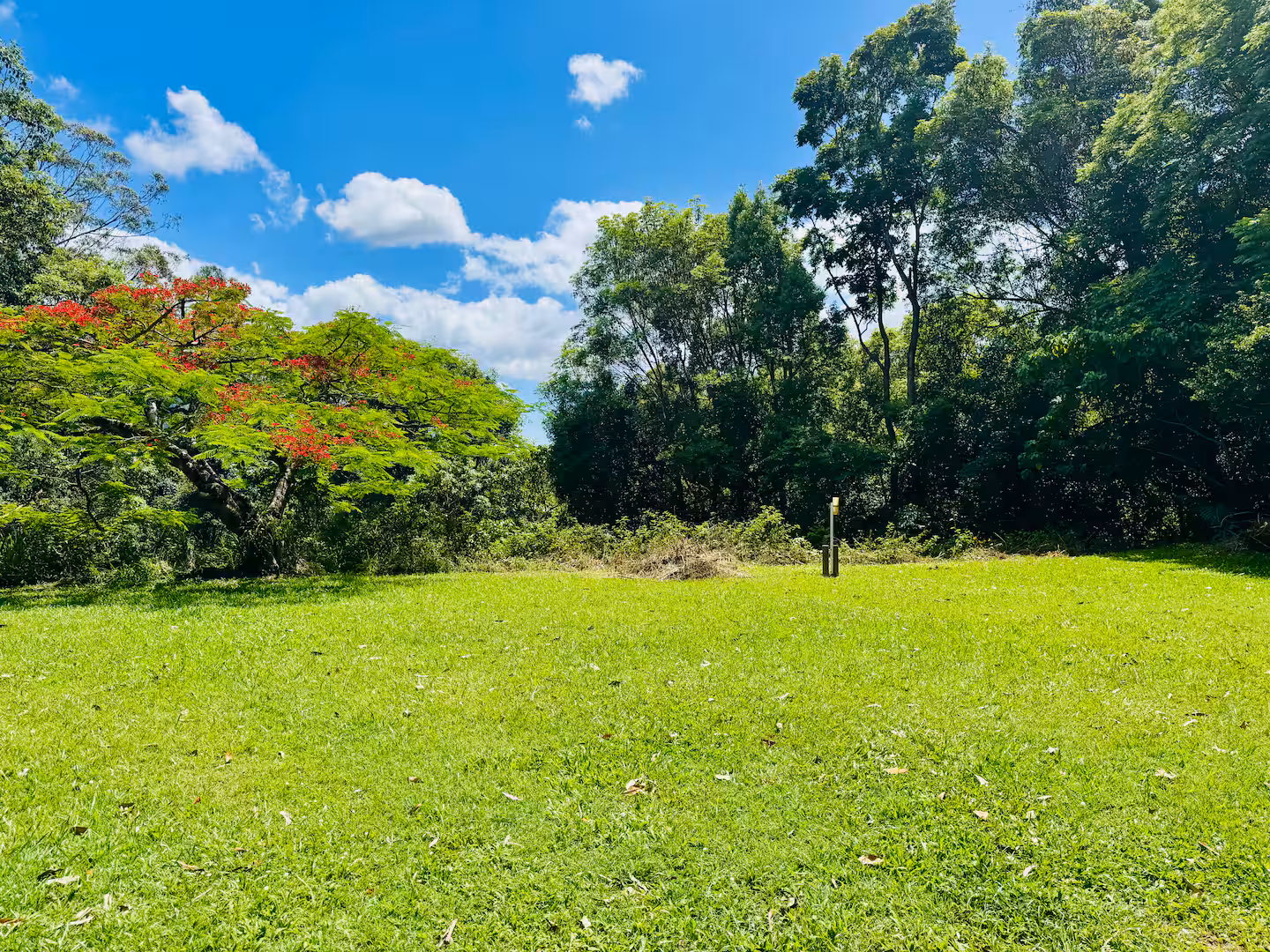 Walking trails nearby - forest path
